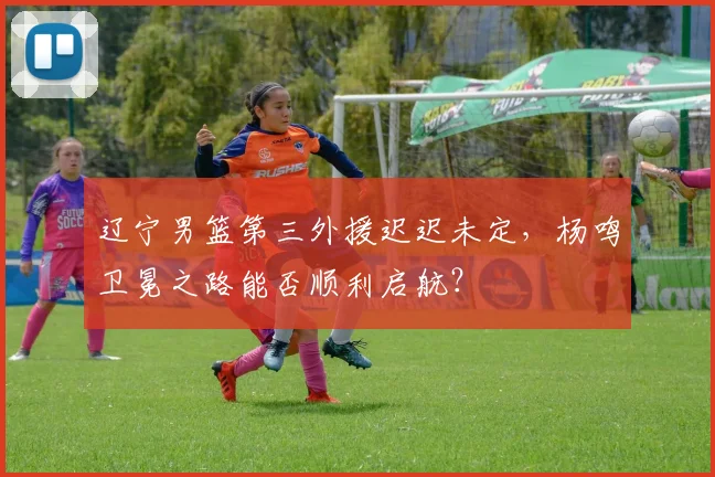 辽宁男篮第三外援迟迟未定，杨鸣卫冕之路能否顺利启航？